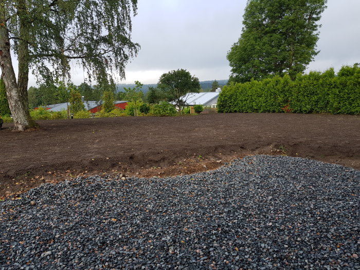 Nysått område med jord som gränsar till en stenlagd yta, omgivet av träd och en häck i en trädgård.