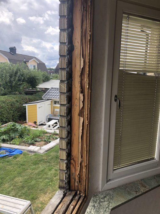 Nyligen utbytt fönster med synliga gamla fönsterkarmar och isolering mot ett trädgårdsbakgrund.