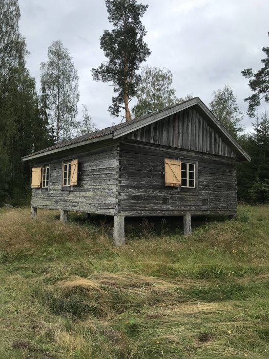 Trästuga på pelare med grå fasad och stängda fönsterluckor omgiven av gräs och träd.