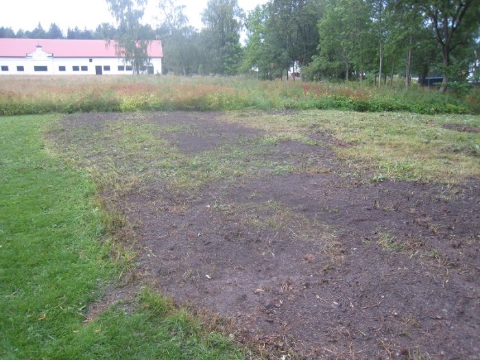 Trädgårdsmark i återhämtning med nyjordade partier och slagen äng i bakgrunden.