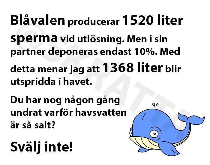 Illustration av en blåval bredvid text om valens spermieproduktion och en kommentar om salthalten i havsvatten.