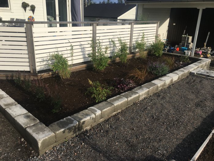 Nyplanterad blomlåda med bambu och andra växter vid husentré med grå stenkanter.