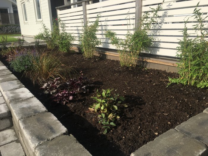 Nyplanterad blomlåda med bambu och olika växter framför ett hus, jordbruksmark och stenplattor.