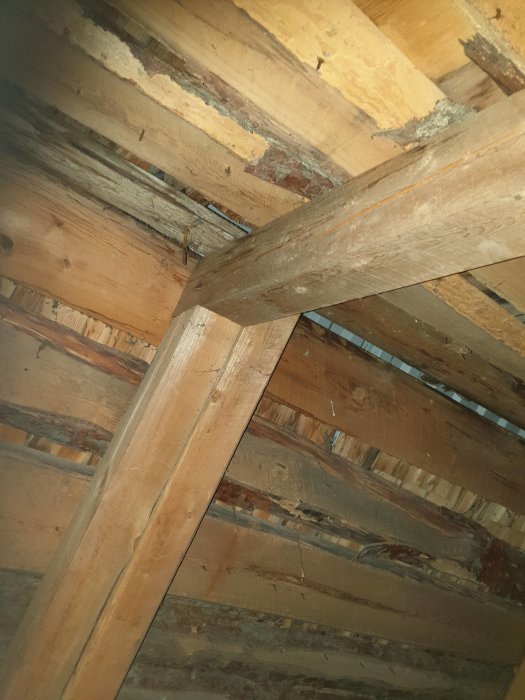 Vind med träbjälkar och råspont utan takpapp, viss missfärgning som kan tyda på mögel eller ålder.