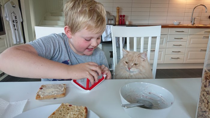 Pojke ler medan han öppnar en Babybel-ost bredvid en nyfiken ljusorange katt i ett kök.