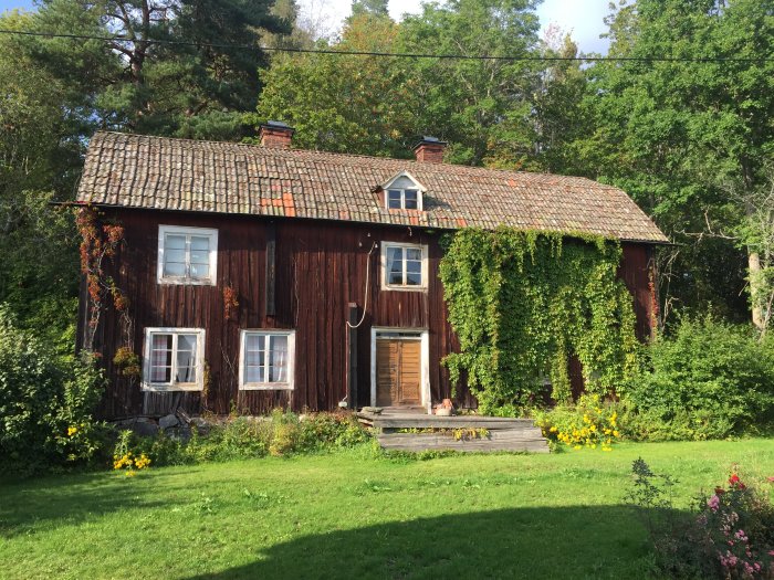 Gammalt tvåvånings trähus med rödfärgad fasad och tegeltak, delvis täckt av klätterväxter, omgiven av grönska.