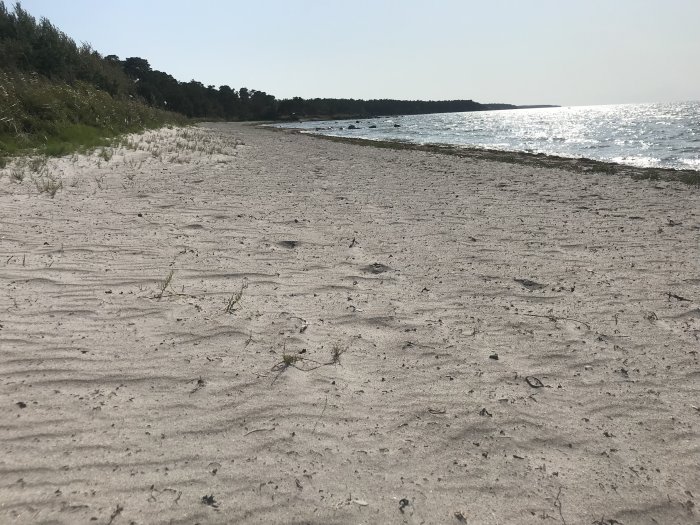 Öde strand med sand och vegetation till vänster, hav och klar himmel i bakgrunden.