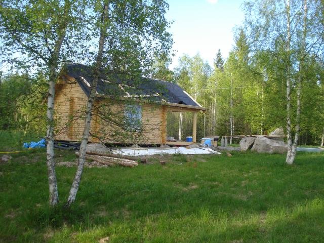 DSC01971.jpg