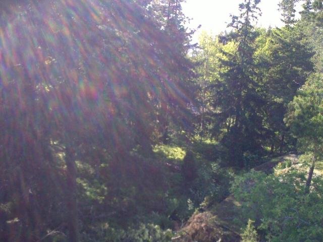 20100606099.jpg