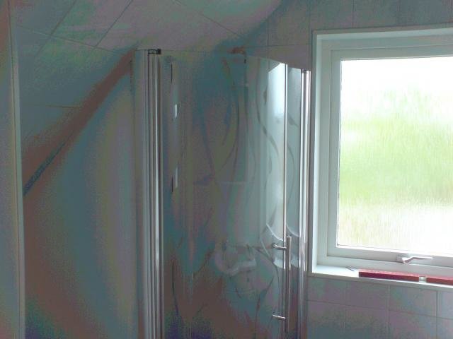 DSC00255.jpg