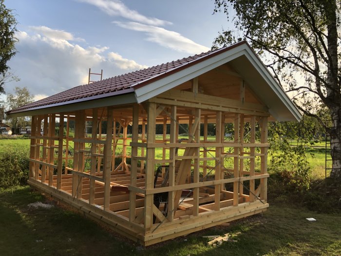 Nyställt skelett för uthus med röd plåttak och vita vindskivor under en klar himmel.