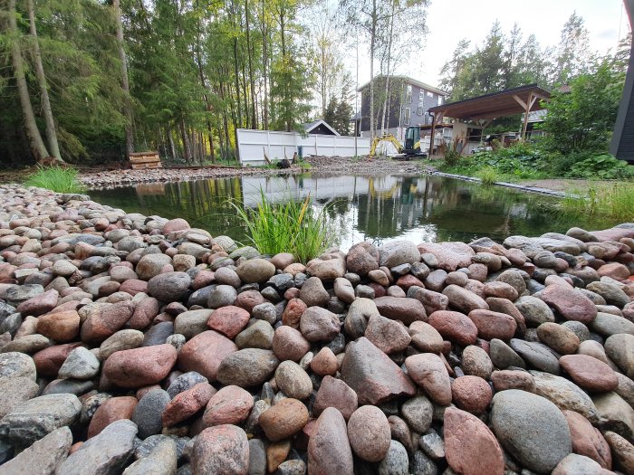 Naturpool med rundstenskanter och växtlighet vid ett vitt plank på en tomt.