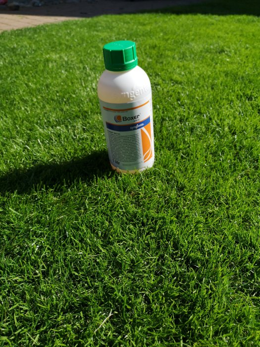 Flaska med Boxer ogräsmedel står på gräs i solljus.