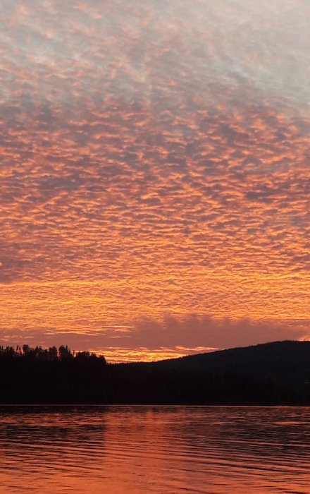 Dramatisk solnedgång med rosa och orange moln på himlen reflekterande i vatten med silhuett av träd.