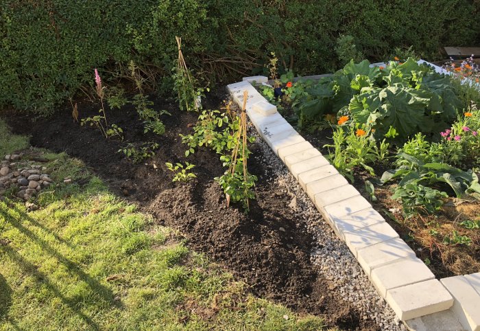 Nygrävd rabatt med plantor och stenläggning i en trädgård under soligt väder.