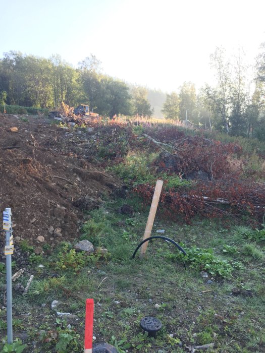 Tomt med fällda träd och schaktad mark vid en byggplats.
