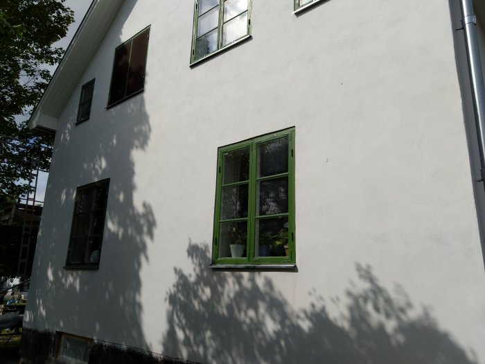 Renoverat grönt fönster på vit husfasad, med skuggor från träd.