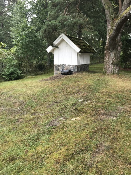 Vit stuga med gräsbevuxet tak och stengrund i en skogsglänta, med en grill framför.