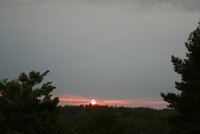 Skymningsvy med solnedgång bakom trädlinjen och rosa himmel.