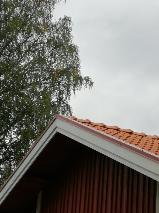 Närbild på hus med takpannor och vindskivor mot träd och grå himmel, möjlig felaktig montering upptill.