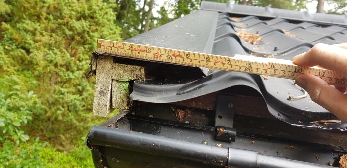 Rotten fascia board on shed with measuring tape showing gap where it doesn't cover the gutter valley.