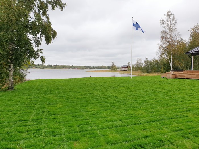 Nyplanterad gräsmatta med finsk flagga och sjöutsikt från Österbotten.