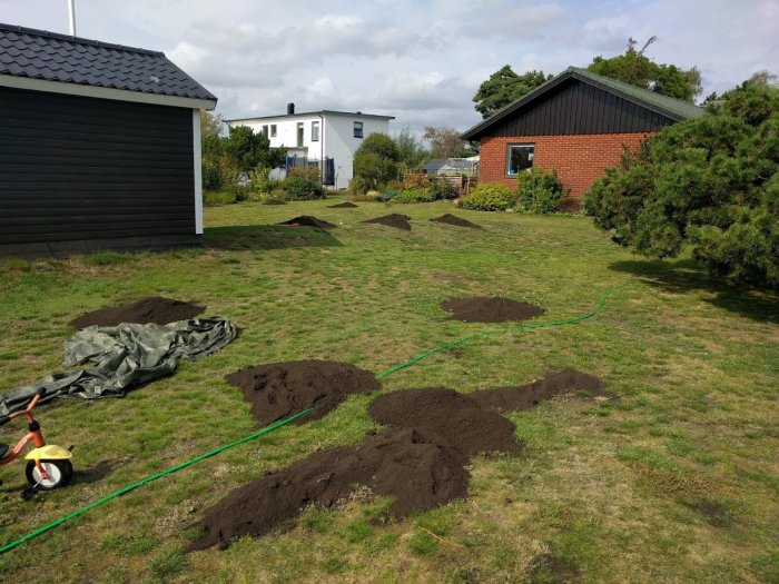 Trädgård med flera högar av kompostjord spridda över gräsmattan, släpvagn och hus i bakgrunden.