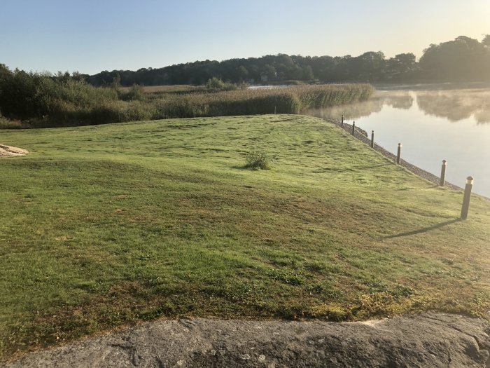 Nyligen sått grönt gräsområde vid en sjö i morgonsol, med stolpar längs kanten.