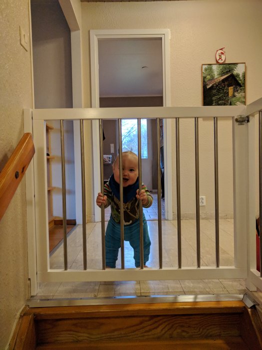 Hembyggd säkerhetsgrind i trä vid källartrappa med barn som tittar igenom.