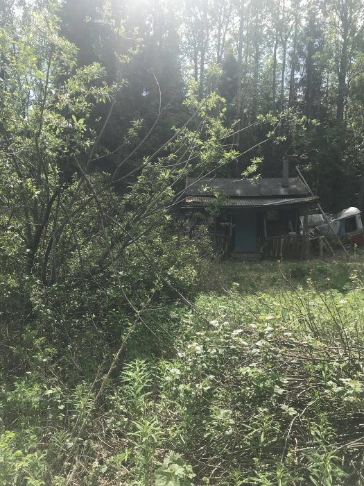 Övergiven stuga med igenväxt infart och synlig förfallen husvagn i bakgrunden omgiven av grönska.