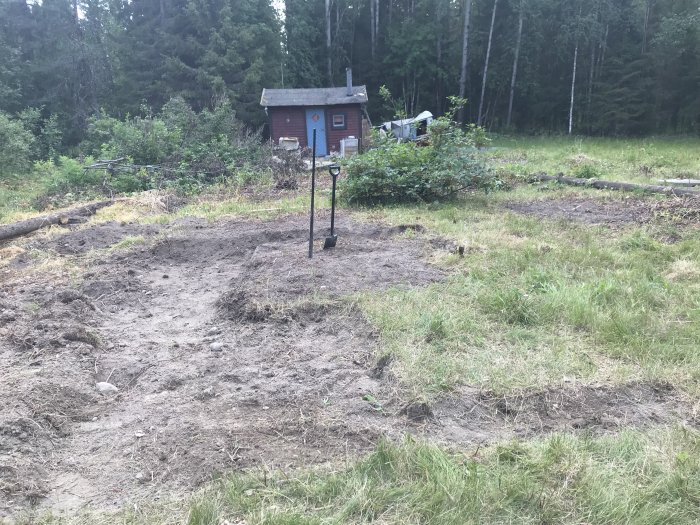 Röjd öppen yta med grävd mark framför röd koja i skogsmiljö, en spade står i gruset.
