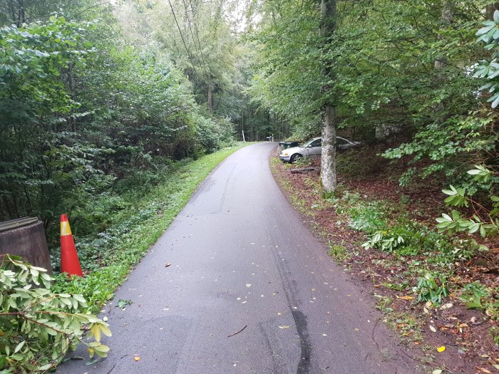 Asfalterad väg omgiven av grönska och parkerad bil, med trafikkon vid sidan.