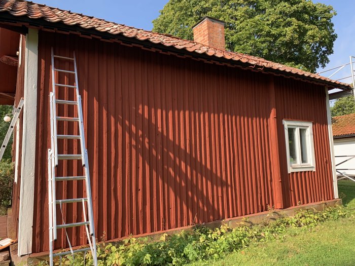 En rödmålad stuga med falurödfärg och en vit stege lutad mot väggen i solljus.