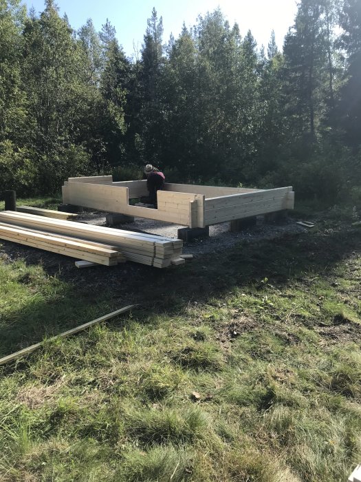 Person bygger stommen till en koja med trämaterial i ett grönt skogsområde.