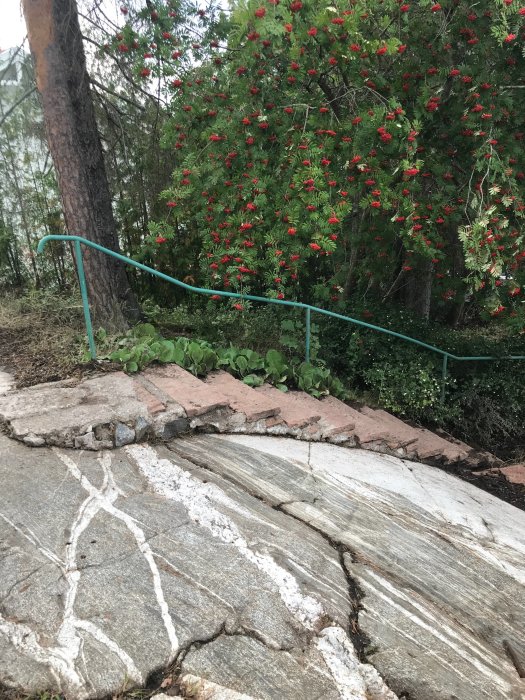 Trappa byggd på naturligt berg med röda stenplattor och gröna räcken omgiven av växter.