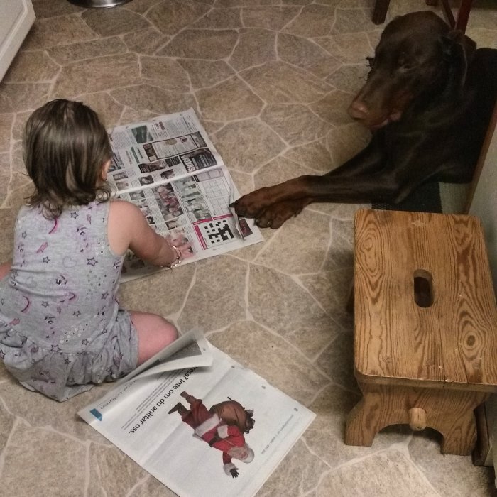 Liten flicka sitter på golvet och läser tidning med en dobermann som också tittar på tidningen.