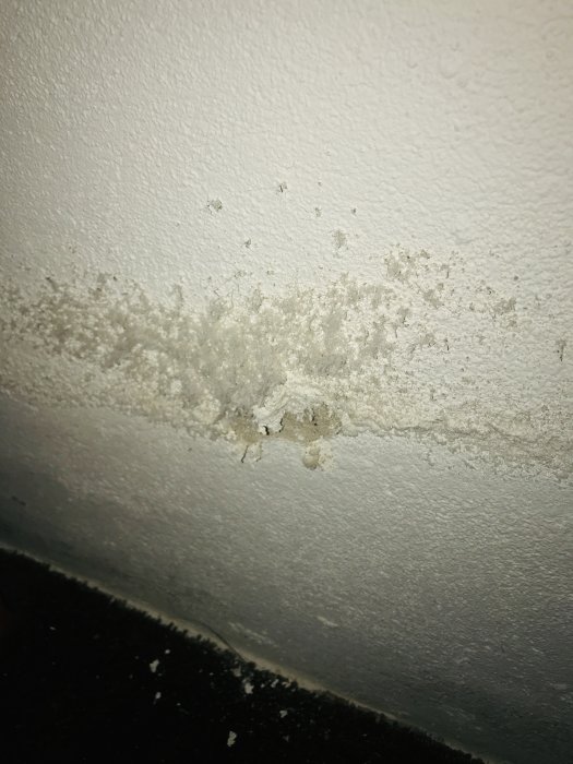 Mögel och fuktfläckar på en inomhusvägg vid golvet i ett äldre hus.