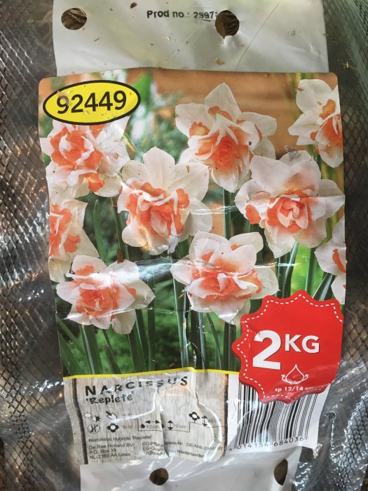 Förpackning av höstlökar 'Narcissus Replete' redo för plantering, märkt med 2 kg.