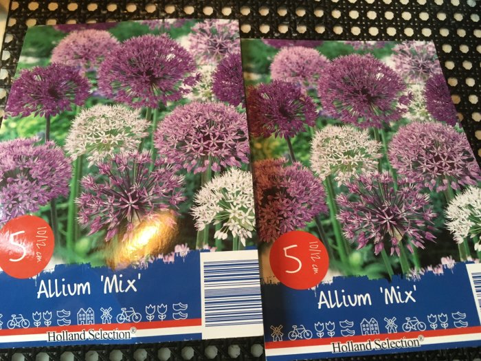 Förpackningar med Allium 'Mix' höstlökar från Holland Selection redo att planteras för våren.