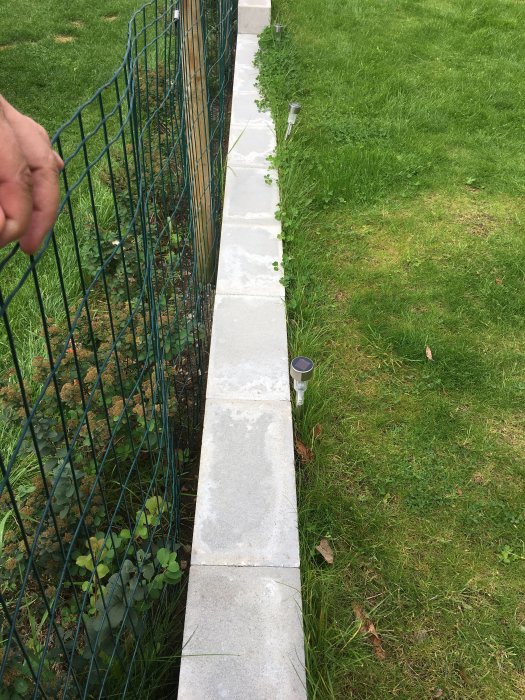 Betongstödmur mellan gräsmattor med befintligt lågt staket på ena sidan, potentiell plats för nytt staket.