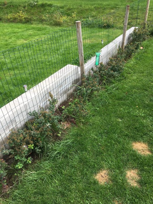 Betongstödmur mellan två tomter med grön trådnätstängsel och trästolpar ovanpå.