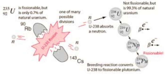 Diagram som visar processen för kärnklyvning och bildandet av plutonium från uran.