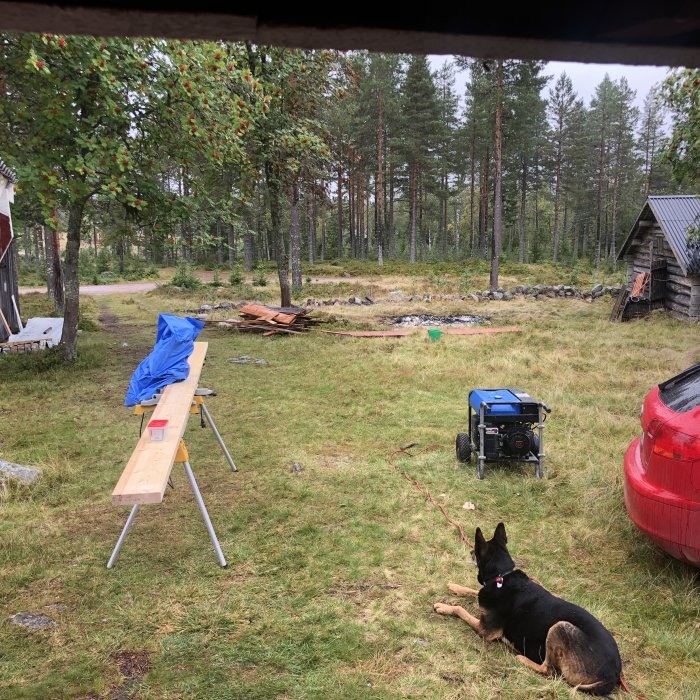 Utsikt från en byggplats med ett pågående projekt omgiven av skog, med byggmaterial, en generator, och en hund.