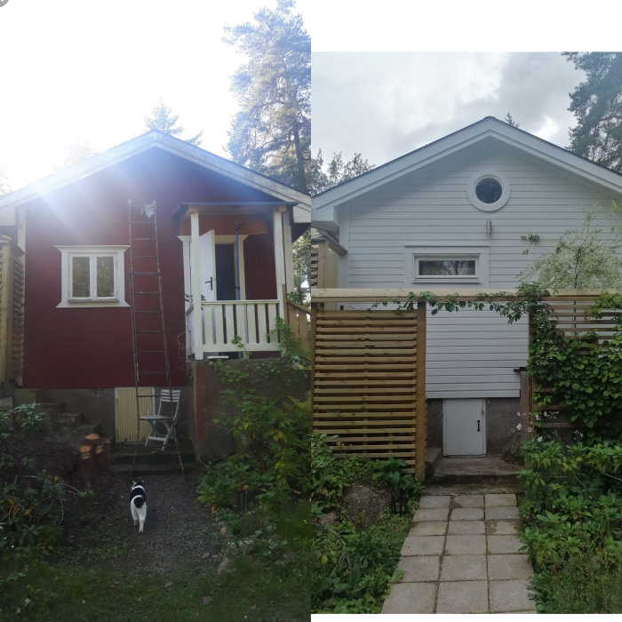 Före och efter bilder av ett renoverat hus, från röd färg till ljusgrå med panel och vindskyddsfolie, inga synliga ångbromsar.