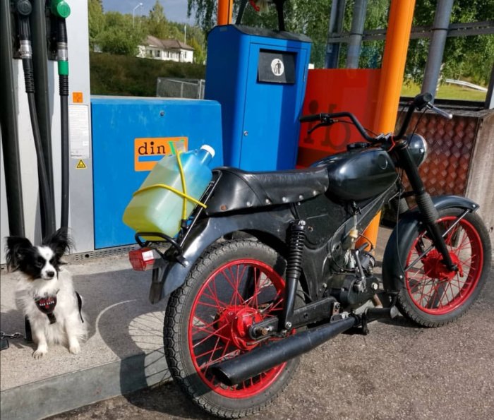 Svart moped parkerad vid bensinstation med en vit och svart hund sittandes bredvid.