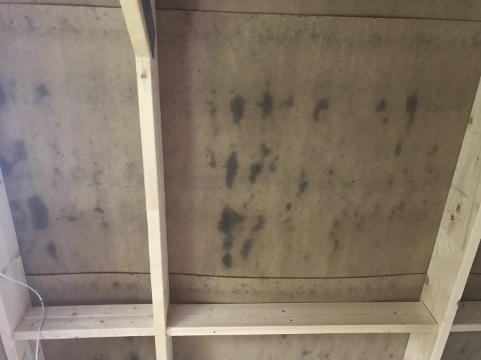 Undersida av ett tak med mörka fläckar på träskivorna mellan takbjälkarna.