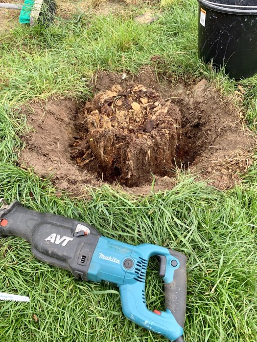 Borttagen trädstubbe med synlig kärnved omgiven av gräs, nära en Makita elektrisk verktyg och svart hink.