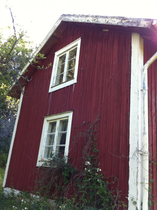 Rödmålat timmerhus med vita knutar och fönster, synliga skador på vindskivan och vegetation framför huset.