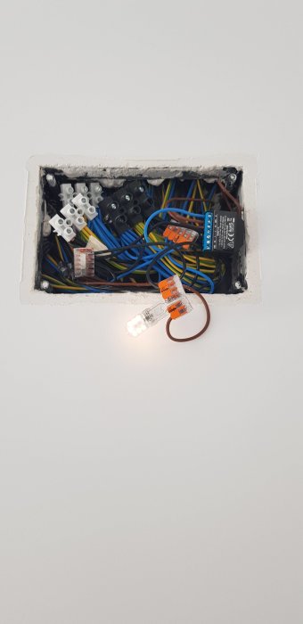 Eluttag med ledningar och en tänd G9 lampa utan spänning från detektorn.