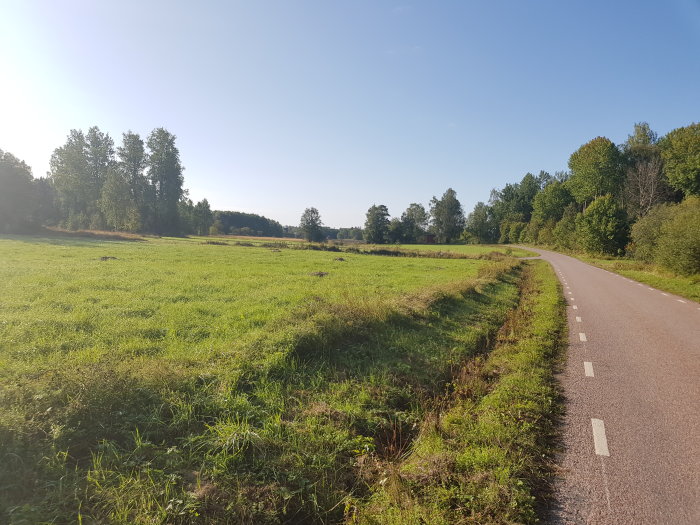 En landsväg bredvid en grön äng på en solig dag som illustrerar promenaden i inlägget.